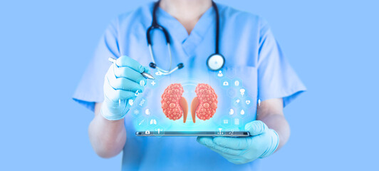 Nephrology, medical care for kidney problems. Kidney pain and kidney cysts. Doctor analyzes kidneys...