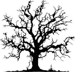 Fototapeta premium Old dry, bare tree. Black silhouette. Sketch hand drawn. Isolated on white background. Vector illustration