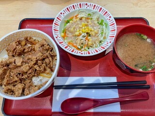 Korean ground beef and rice bowl. Close up view