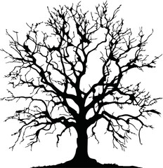 Old dry, bare tree. Black silhouette. Sketch hand drawn. Isolated on white background. Vector illustration