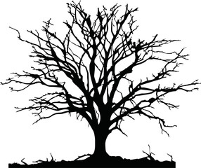 Old dry, bare tree. Black silhouette. Sketch hand drawn. Isolated on white background. Vector illustration