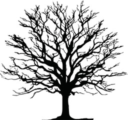 Fototapeta premium Old dry, bare tree. Black silhouette. Sketch hand drawn. Isolated on white background. Vector illustration
