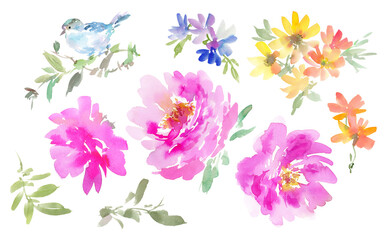 Floral clipart set with hand painted abstract watercolor peonies, colorful wildflowers and a blue bird on a transparent background. PNG files.	