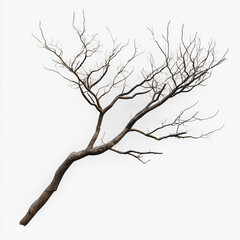 Obraz premium photo realistic of tree branch on white background