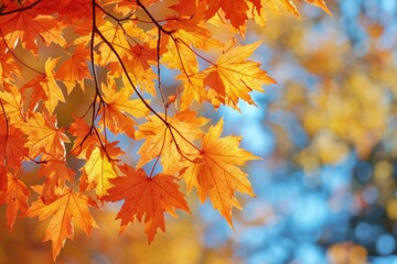 Fallen Leaves Season Background