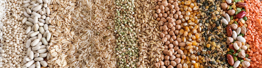 Grains and cereals in bands of color from light to dark.