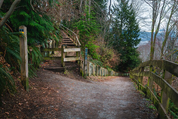 Two walking trails meet on an incline in a forested recreation area in Vancouver