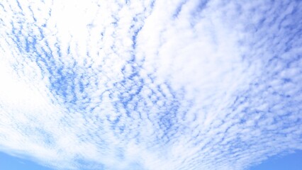 秋の空に広がるうろこ雲の空背景