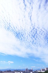 Obraz premium 秋の空に広がるうろこ雲と街並み 縦