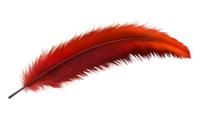 Vibrant brown feather on transparent background 