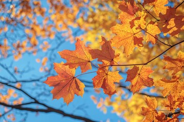 Fallen Leaves Season Background