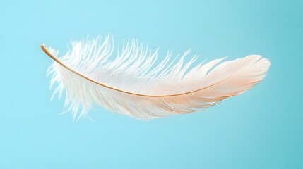 Obraz premium A single feather, softly floating in the air on a light blue background.