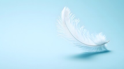 A single feather, softly floating in the air on a light blue background.


