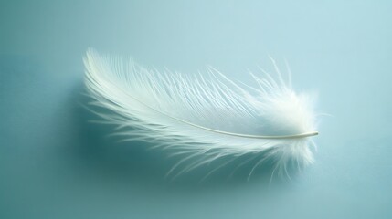 A single feather, softly floating in the air on a light blue background.


