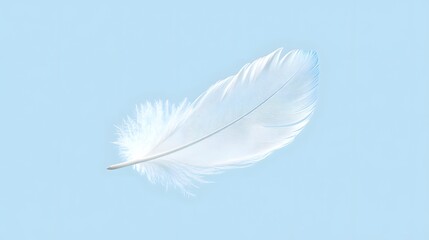 Obraz premium A single feather, softly floating in the air on a light blue background.