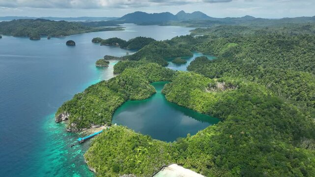 INDONESIA - 9.4.2024 - Incredible aerial footage pulling away from Indonesia's Jellyfish Lake.
