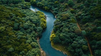 Environmental Monitoring: Monitor air and water quality with IoT sensors, gaining real-time insights for environmental conservation and proactive disaster management.
