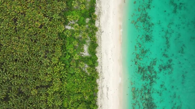 INDONESIA - 9.4.2024 - Stunning overhead view zooming out from the palm tree-lined shoreline of Indonesia's Mandel beach.