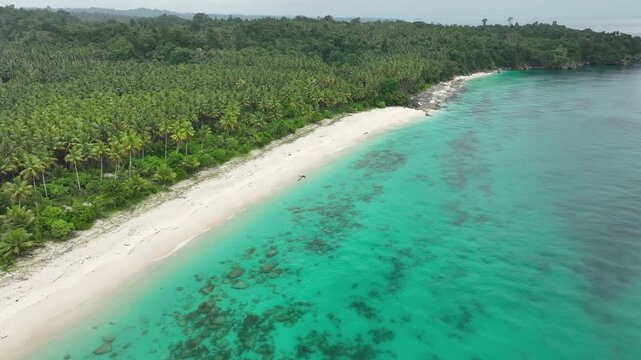 INDONESIA - 9.4.2024 - Very good aerial footage of Indonesia's palm tree-lined Mandel beach, headed for a rocky area.