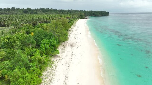 INDONESIA - 9.4.2024 - Excellent aerial footage moving down the palm tree-lined shoreline of Indonesia's Mandel beach.