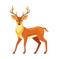 Cute baby deer looking at front view vector illustration