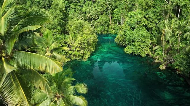 INDONESIA - 9.4.2024 - Great aerial footage of a clearing on Indonesia's Paisu Pok Lake.