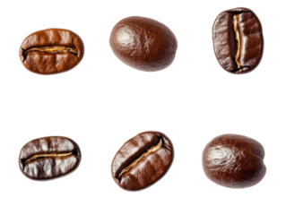 Scattered coffee beans for design elements in digital media and branding