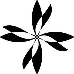 black and white flower isolated