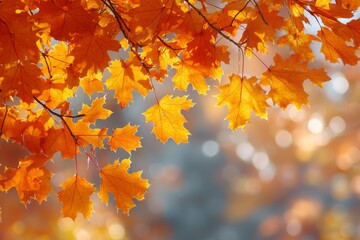 Fallen Leaves Season Background