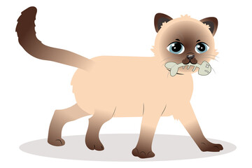 pet images

