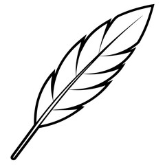 Obraz premium feather and ink