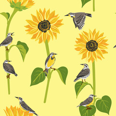 seamless pattern with sunflowers and birds, western meadowlarks, vector drawing flowers at yellow background, hand drawn illustration