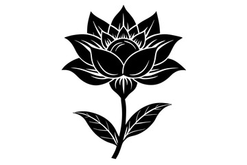 Fototapeta premium set of flowers