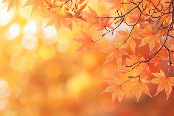 Fallen Leaves Season Background