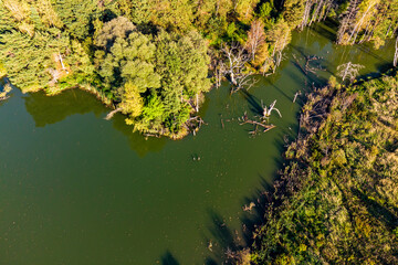 Top view of a picturesque pond with a forested shore