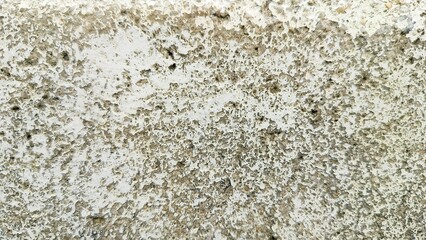 Grungy cement texture background. Spots of white paint on a gray concrete background, texture, photo. old cement