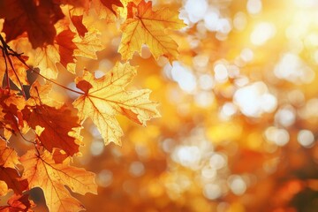 Fototapeta premium Fallen Leaves Season Background