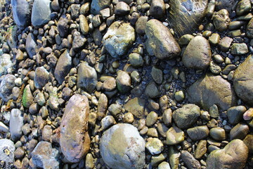 Stones on the beach