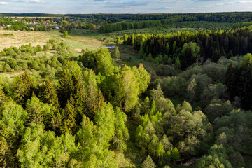 Natural landscape with mixed forest areas from the air