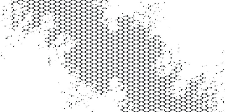 Black snake skin pattern isolated on white background eps 10