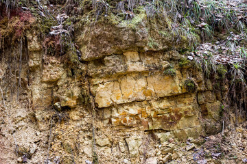 Exposure of fractured marl and limestone beds in a ravine
