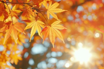 Fototapeta premium Fallen Leaves Season Background