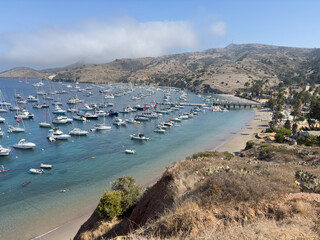 Obraz premium Two Harbors beach at Catalina Island.