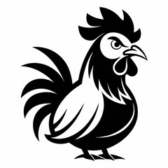 rooster isolated on white background