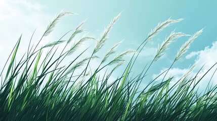 Tall Grass Blades Swaying in the Wind Against a Blue Sky