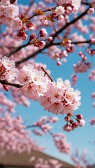 Obraz premium Cherry blossoms floating on a gentle breeze background for invitation or card screensaver