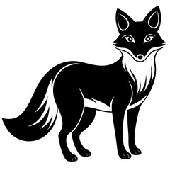 black cat illustration