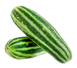 Cucumber or Cucumis melo isolated