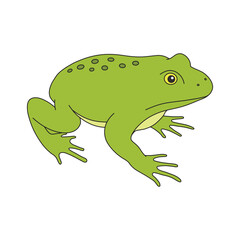 kids drawing Vector illustration green frog flat cartoon isolated