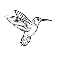 anna-s-hummingbird-flying